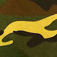 camouflage